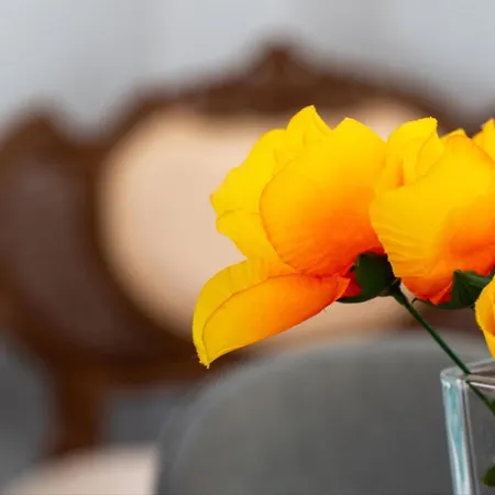 Angelique 乡村民宿