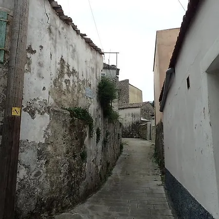 乡村民宿 Angelique *