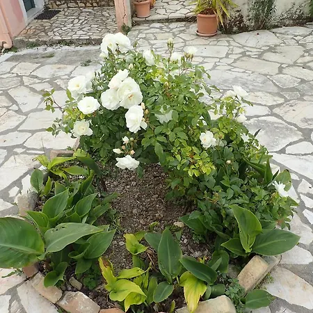 Angelique Country house Sinarades